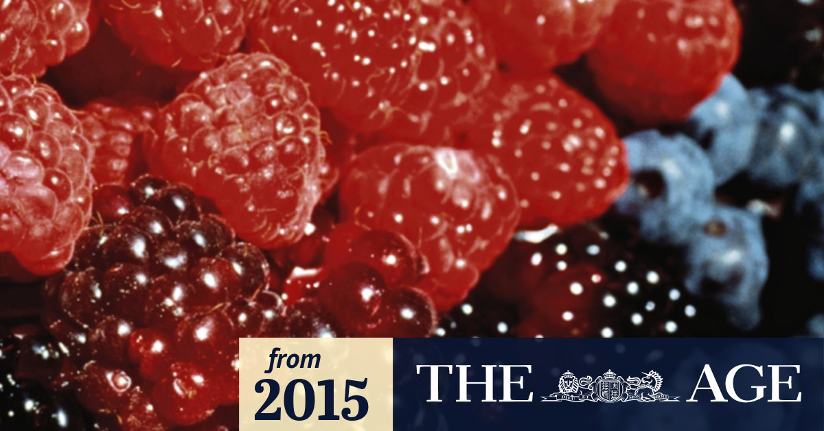 Students ate imported frozen berries linked with hepatitis A